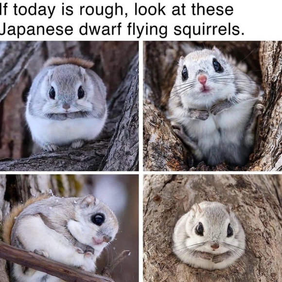 Just because 😁 - Picture 4 of 10